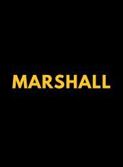 Marshall - Miles Telecom Trading LLC