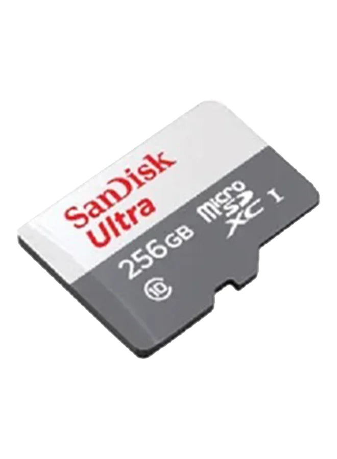 SanDisk Ultra UHS-I MicroSDHC Card 256 GB