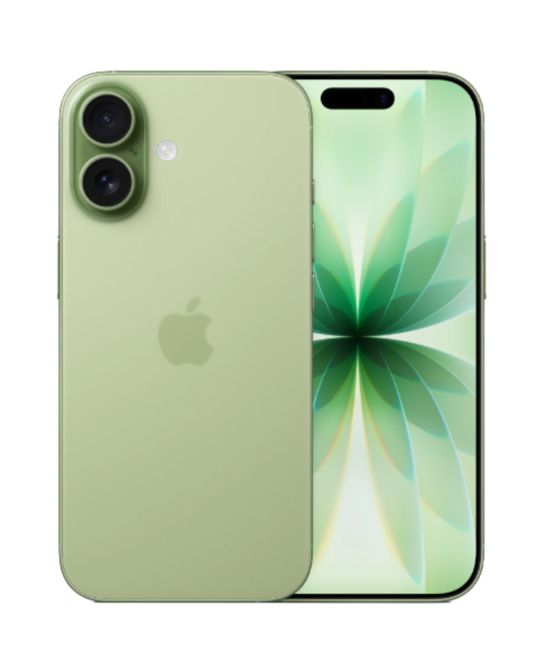Apple iPhone 17 256GB Sage 5G Dual eSIM - UAE Version (TDRA)