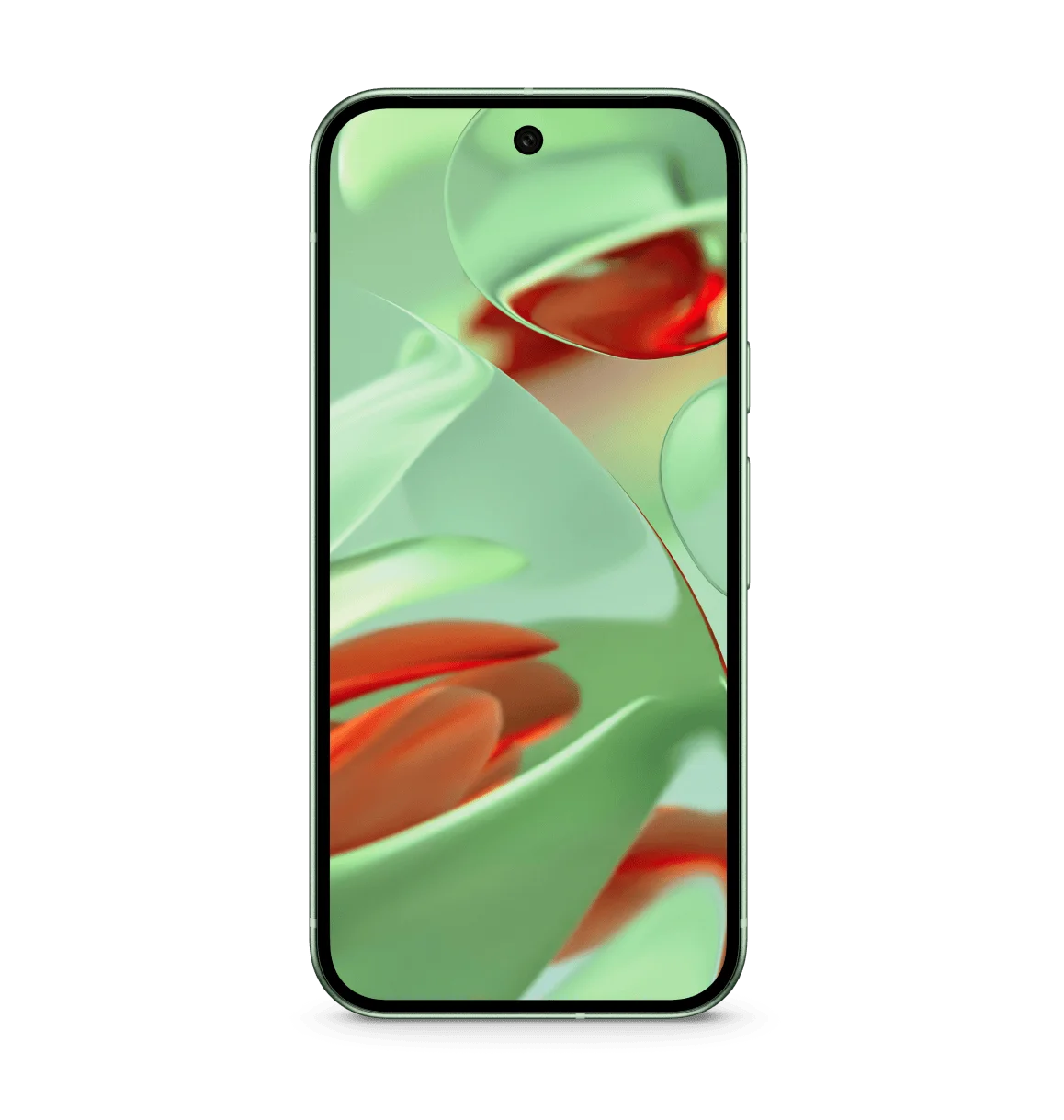 Google Pixel 9 5G 12GB 256GB Wintergreen International Version view 2