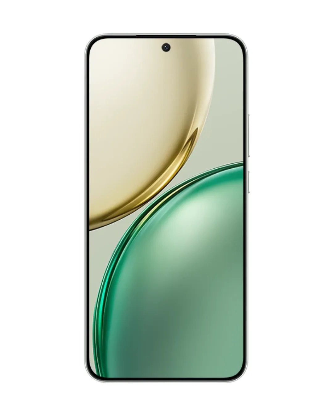HONOR X9d 5G 12GB 256GB Forest Green – UAE Version (TDRA)  view 2