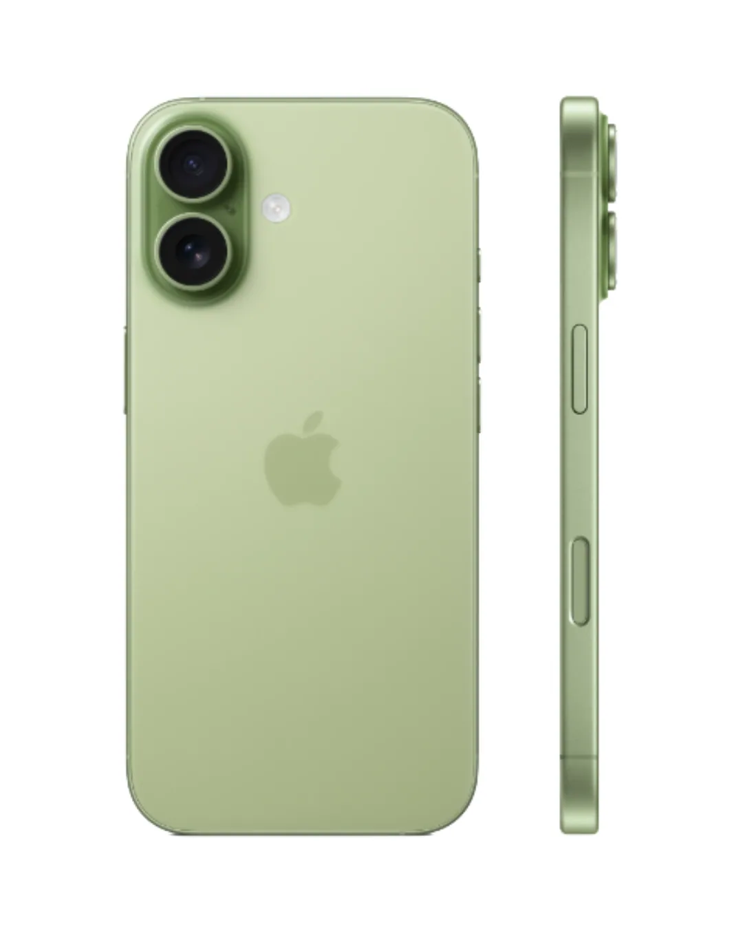 Apple iPhone 17 256GB Sage 5G Dual eSIM - UAE Version (TDRA) view 2
